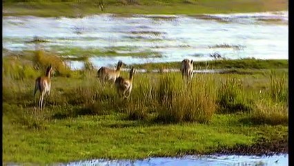 Das Traumschiff Staffel 1 Folge 53 - Part 02 HD Deutsch