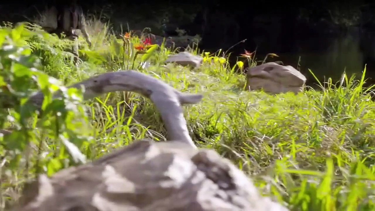 Crusoe Staffel 1 Folge 4 HD Deutsch