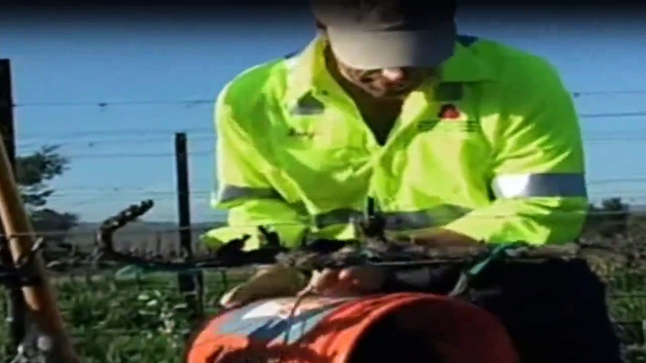 Dirty Jobs - Arbeit, die keiner machen will Staffel 1 Folge 4 HD Deutsch