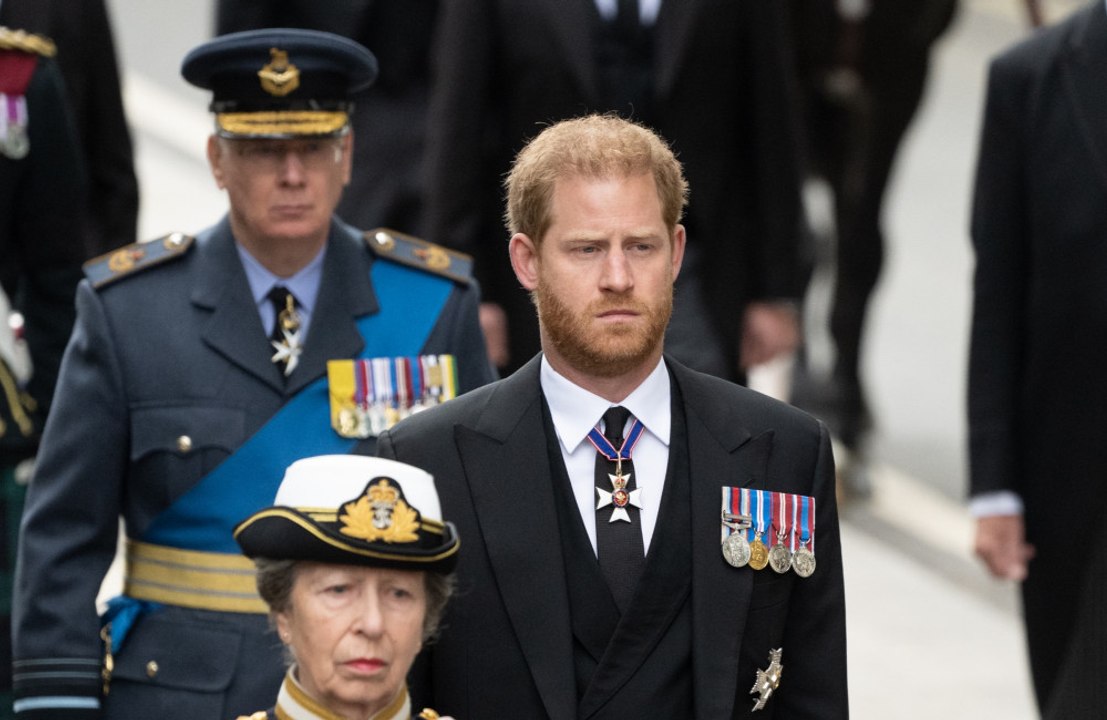 Prince Harry reportedly WILL address death of Queen Elizabeth in upcoming memoir