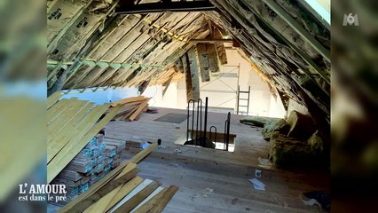 L'amour est dans le pré : l'idée de génie des internautes pour aider Thierry Coquin de sort à finir sa maison