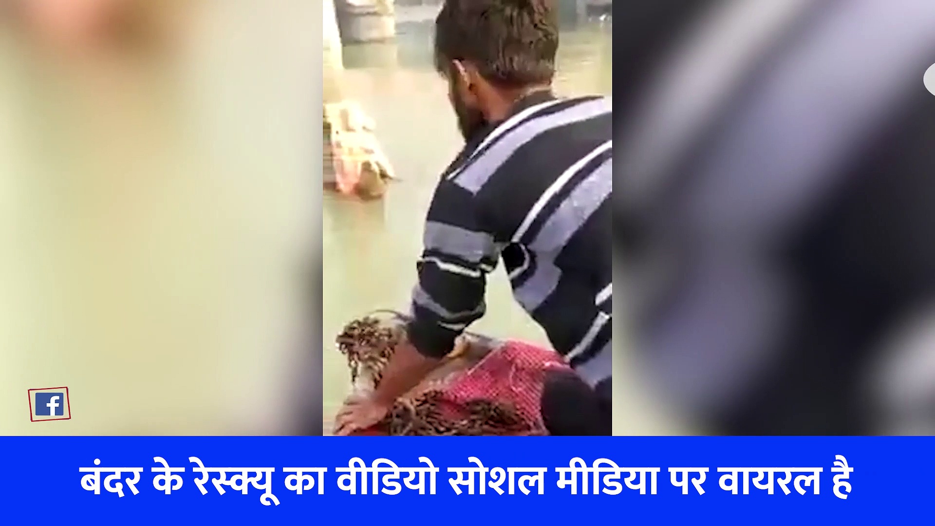 Video: गंगनहर में फंसे बंदर का बजरंगबली बने सहारा... मूर्ति से चिपके हुए गुजार दी पूरी रात 