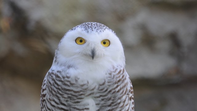 Manchester Headlines 1 November: New Zoo could open in Greater Manchester