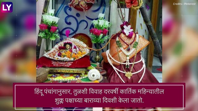 Tulsi Vivah 2022: तुलसी विवाह महत्त्व, पूजा विधी आणि शुभ मुहूर्त, जाणून घ्या