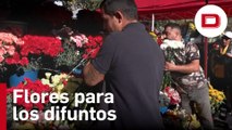 Cementerios de Madrid, visita obligada en el Día de Todos los Santos
