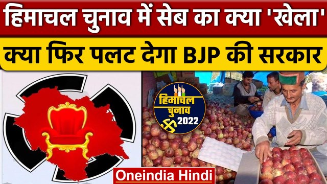 Himachal Election 2022: हिमाचल में 'सेब' क्या फिर पलट देगा BJP की सरकार ? | वनइंडिया हिंदी *Politics