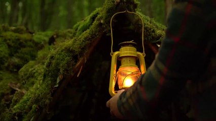 Building a Survival Shelter in a Forest ||Camp food from natural herbs