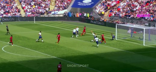 ROBERTO “BOBBY” FIRMINO GOALS COMPILATION