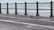 Heavy rain in St Leonards during Storm Claudio on Nov 1 2022