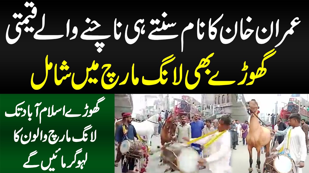 Imran Khan Ka Name Sunte Hi Dance Karne Wale Horses Long March Me Shamil - Awam Ka Lahu Garmane Lage