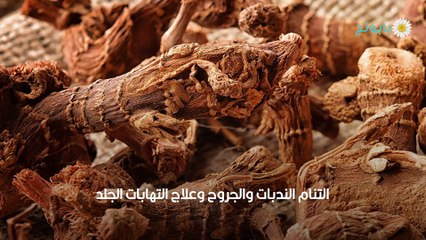 فوائد القسط الهندي للرجال ومحاذيره والجرعة المناسبة