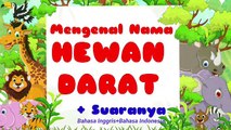 Mengenal Nama Hewan Dalam Bahasa Indonesia Dan Bahasa Inggris