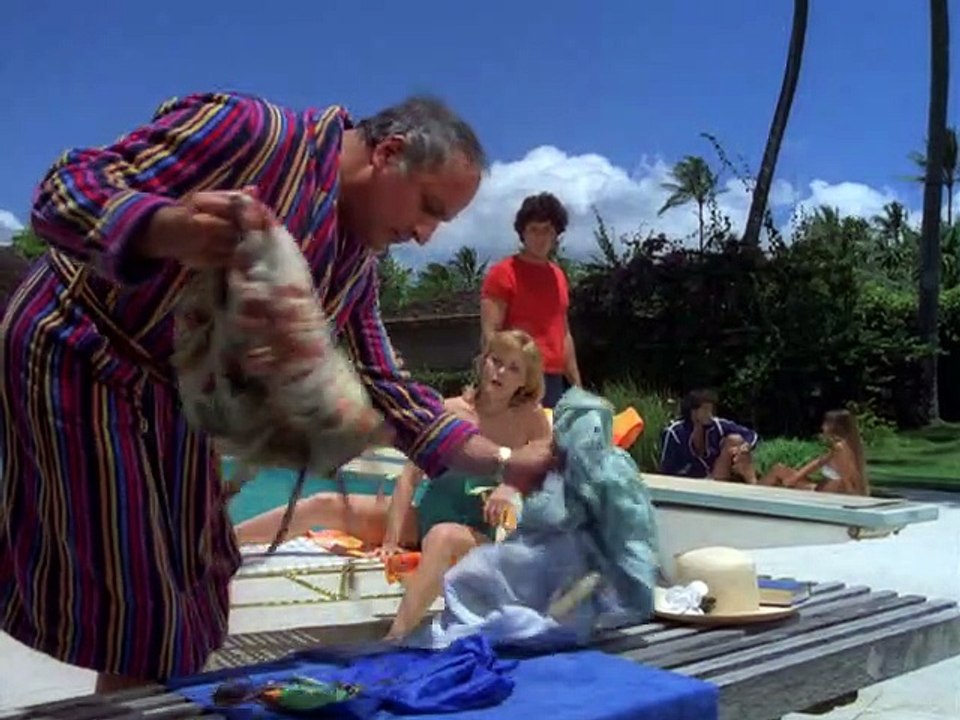 Hawaii fünf - null staffel 10 folge 18 hd deutsch