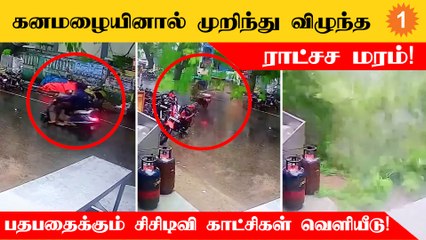 Chennai Koratturல் கனமழை காரணமாக ராட்சச மரம் முறிந்து விழுந்த CCTV காட்சிகள்!