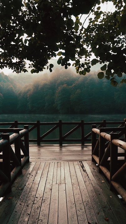 Calm Nature