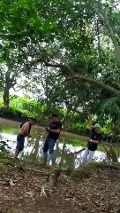 VID-mancing tawes