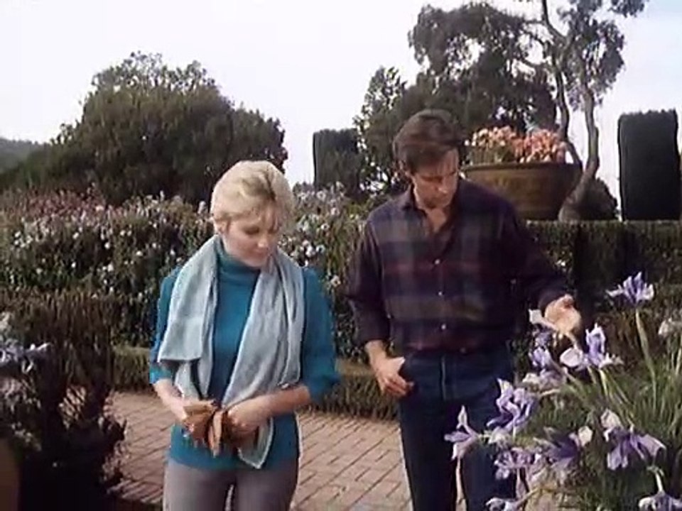 Der Mann vom anderen Stern Staffel 1 Folge 8 HD Deutsch