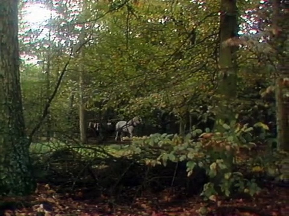 Die dreibeinigen Herrscher Staffel 1 Folge 11 HD Deutsch