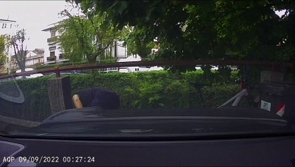 Head Bonked Behind BMW