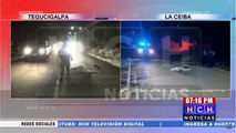 Ultiman de varios disparos a un joven en colonia Alameda de La Ceiba