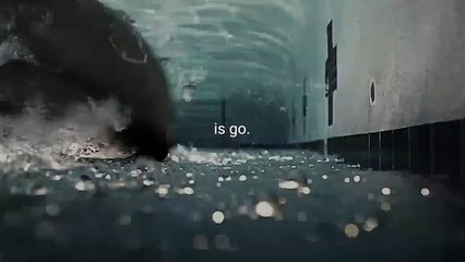 GET IT DONE - Motivational Speech