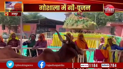 जयपुर गोवर्धन गिरिराजजी की परिक्रमा, गौ पूजन... देखिए VIDEO