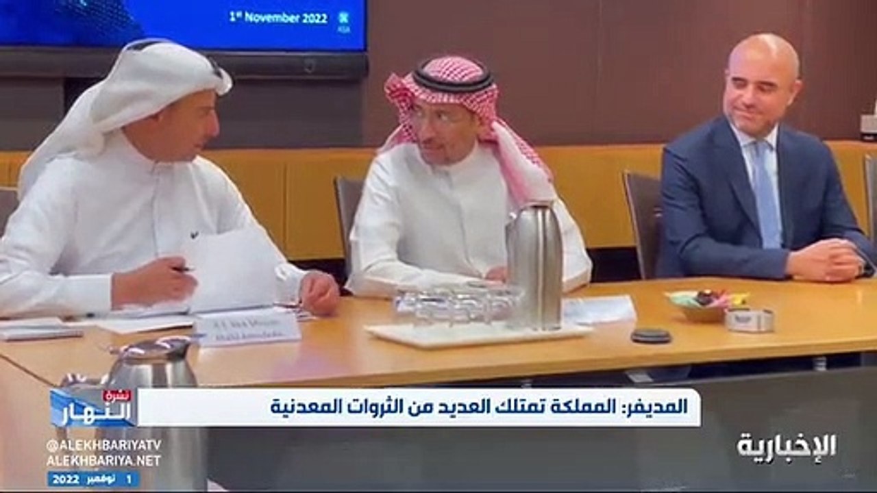 فيديو نائب وزير الصناعة والثروة المعدنية م. خال...