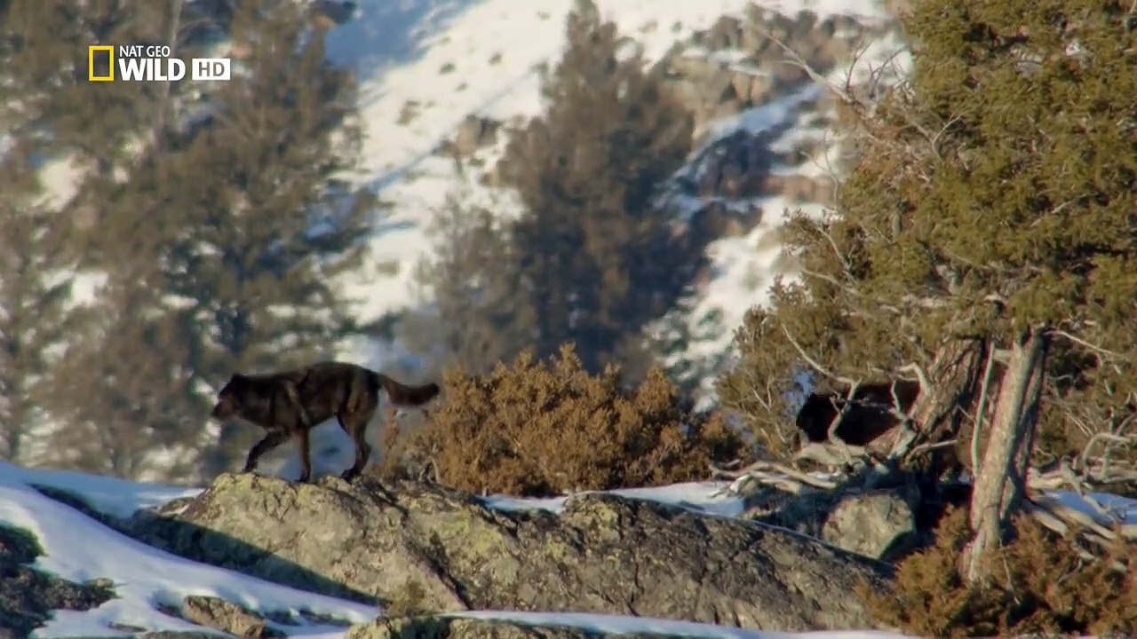 Amerikas Nationalparks Staffel 1 Folge 4 HD Deutsch