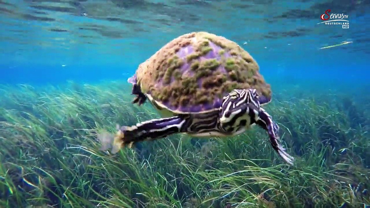 An den Quellen des Wassers Staffel 1 Folge 1 HD Deutsch