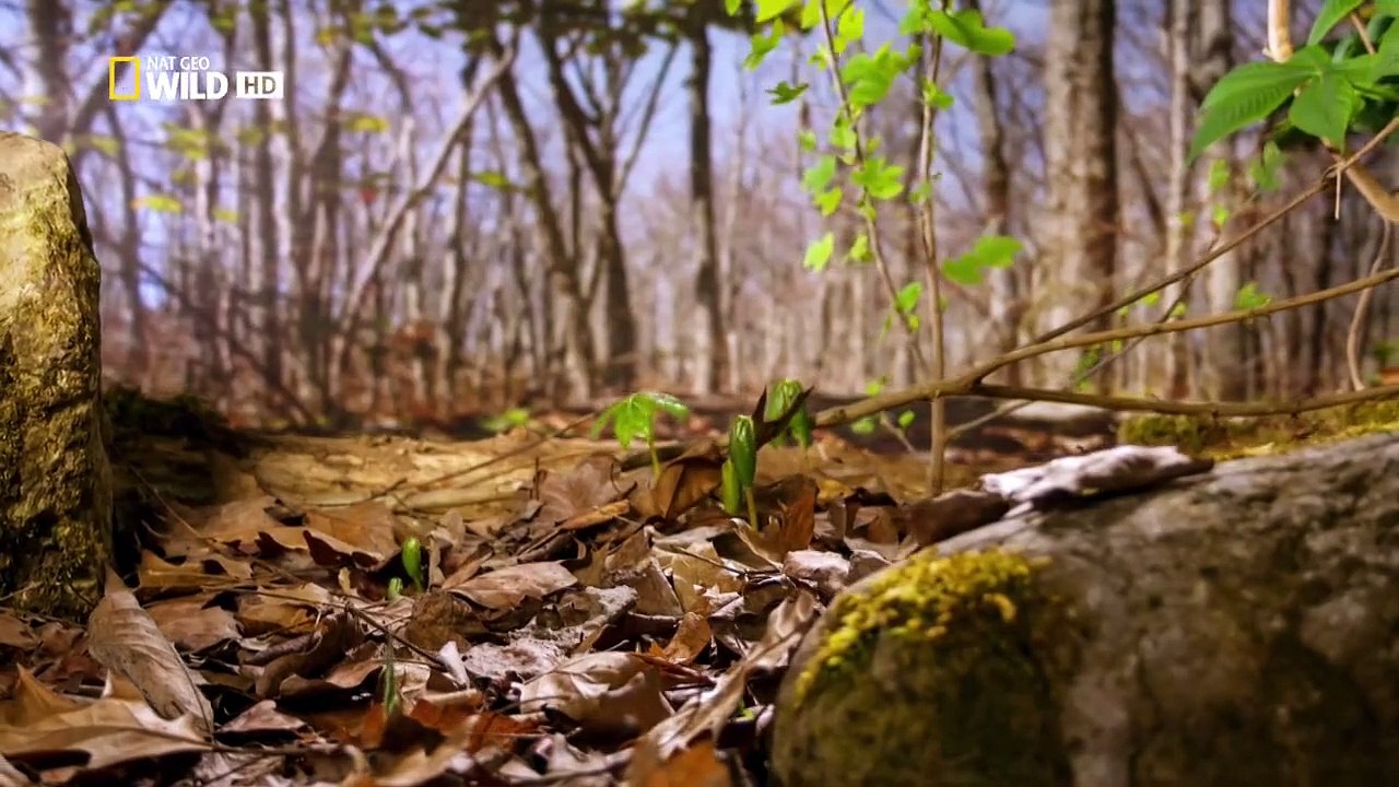 Amerikas Nationalparks Staffel 1 Folge 8 HD Deutsch