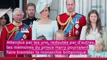 Prince Harry : on sait enfin ce qu'il compte faire de l'argent touché grâce à ses mémoires