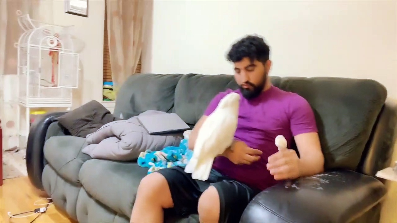 Cockatoo First Day Home