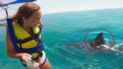30 Unbelievable And Magical Moments Caught On Camera