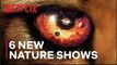 Only on Netflix | 6 Mind Blowing New Nature Documentaries