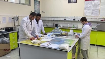 Renk değiştirdiği için "bukalemun" adı verilen kumaş üretildi