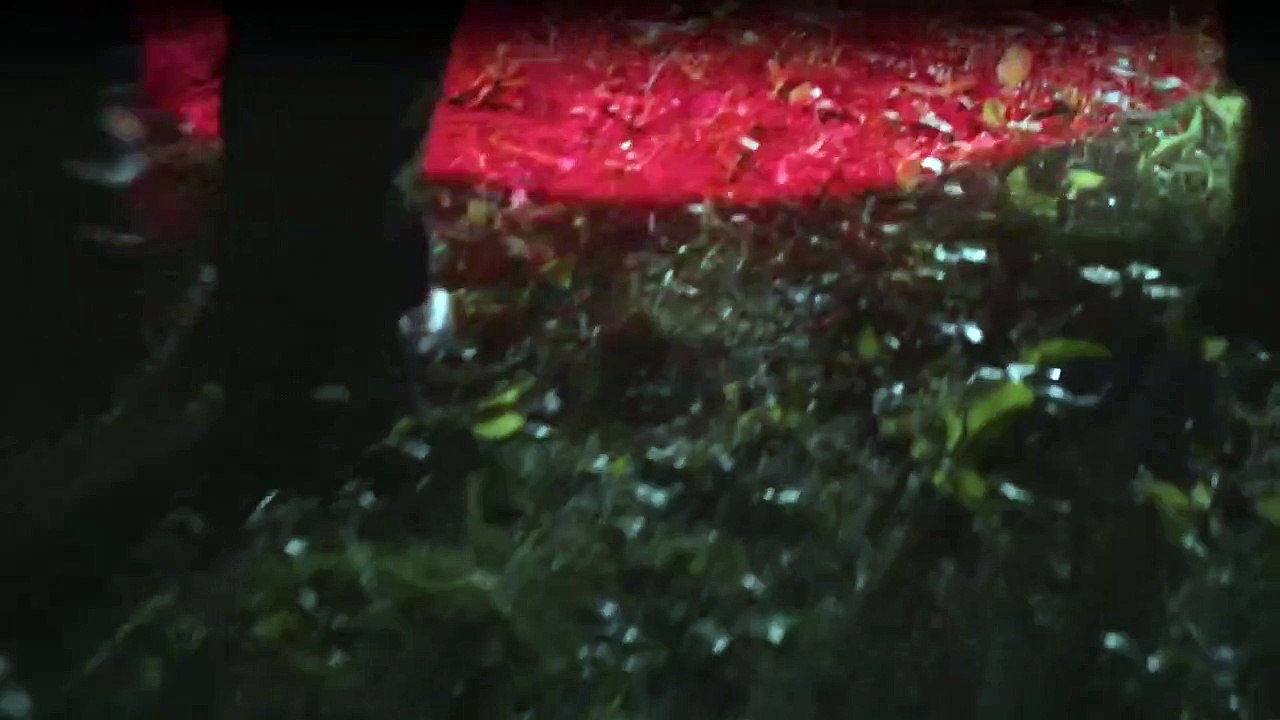 Ins Unbekannte - Mysterien auf der Spur Staffel 1 Folge 4 HD Deutsch