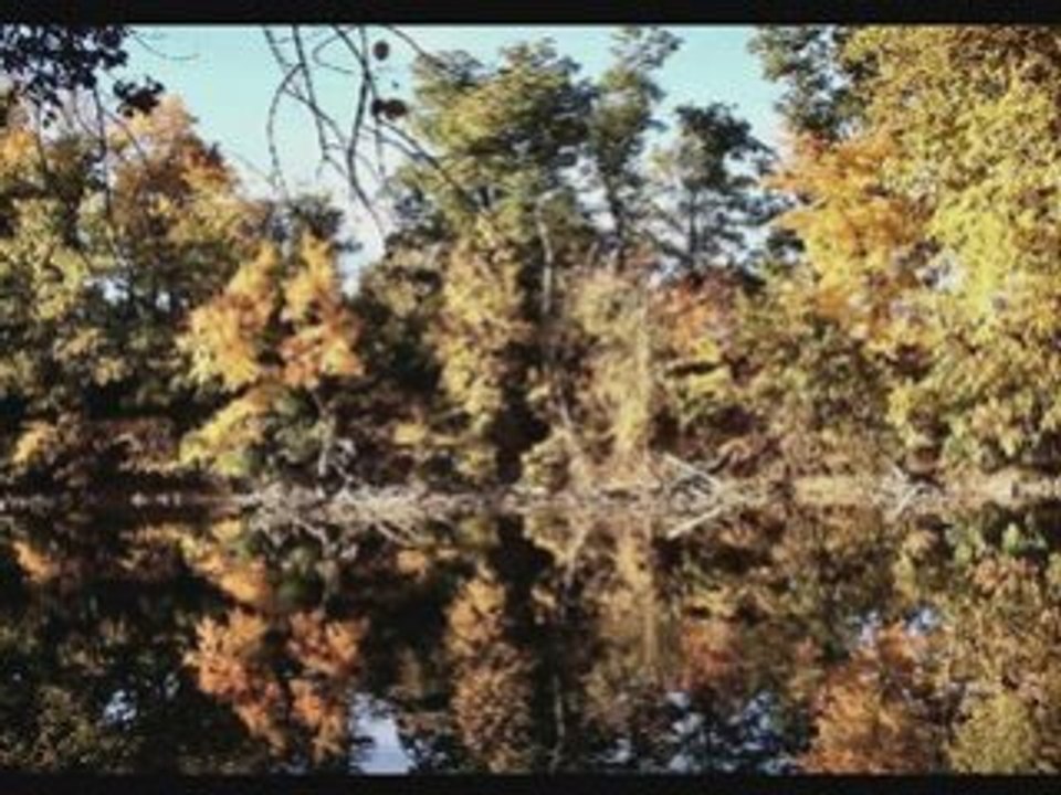EFFET_MIROIR_01