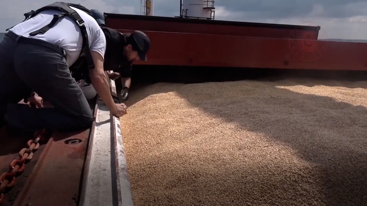 Le conflit en mer noire sur les exports de céréales ukrainiennes fait exploser les prix du blé