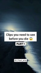 Clips You Need to see this before you Die