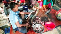 Husband and Wife Fish Clearing at a Biggest Fish Market | Moments of amazing Fish Cutting Video