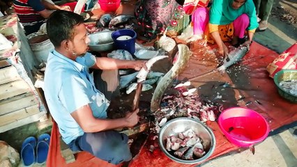 Husband and Wife Fish Clearing at a Biggest Fish Market | Moments of amazing Fish Cutting Video