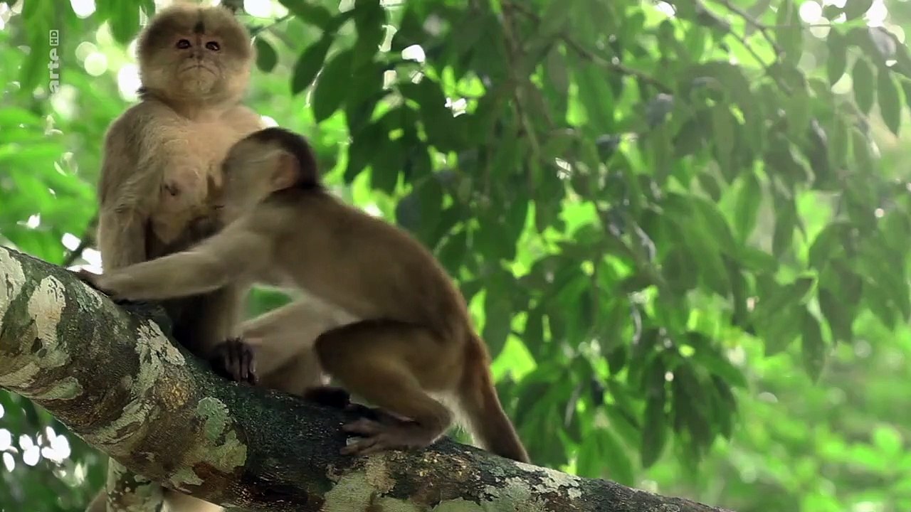 Naturparadiese mit Zukunft Staffel 1 Folge 2 HD Deutsch