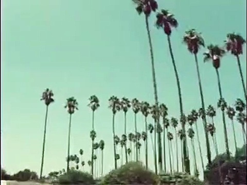 Mur murs Bande-annonce (EN)