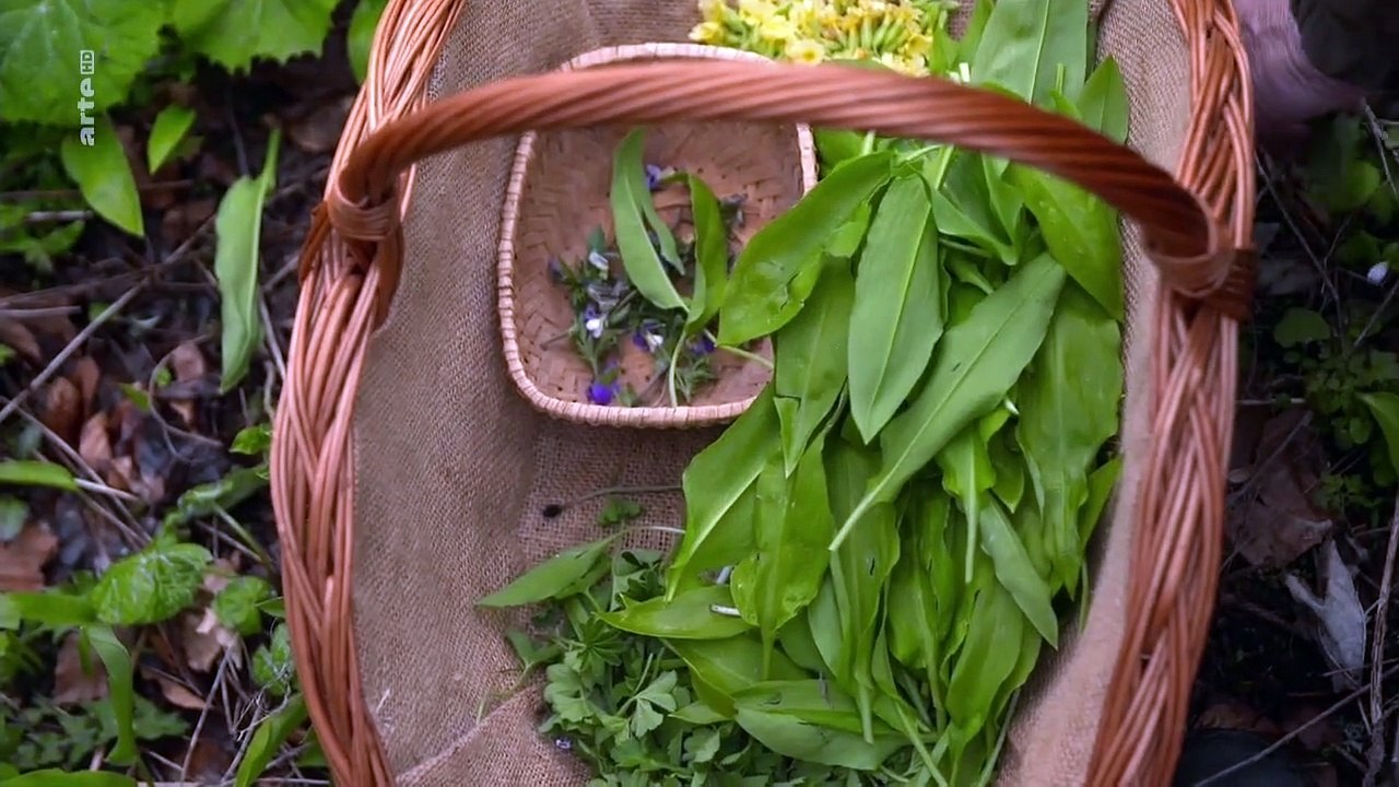 Slowakische Nationalparks Staffel 1 Folge 2 HD Deutsch