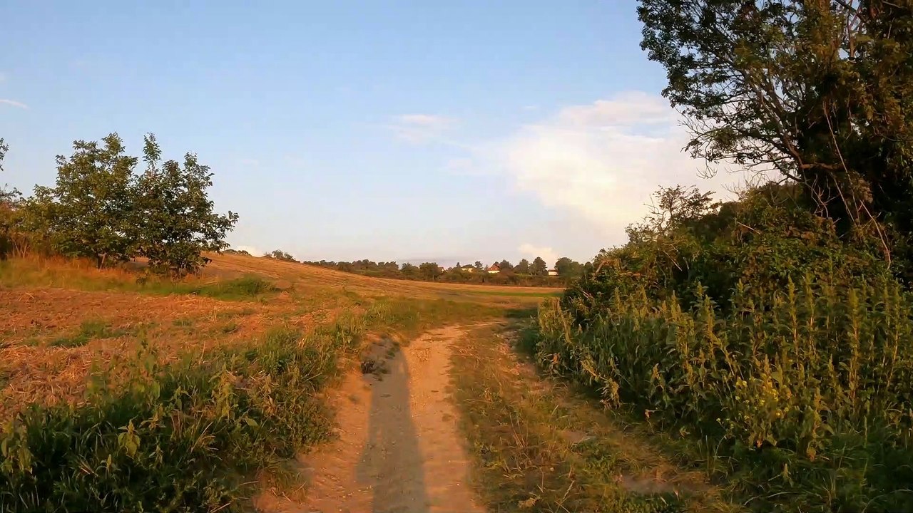 Über den Laaer Berg (Weichseltal) mit dem Rad