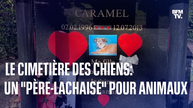 Le cimetière des chiens d'Asnières, un Père-Lachaise pour animaux de compagnie