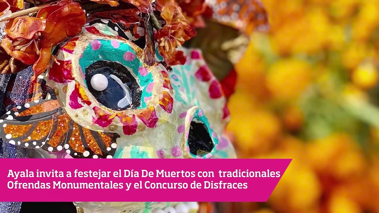 Persecución y balacera deja a un hombre sin vida en la México – Acapulco, esto y mucho más en Diario de Morelos Informa