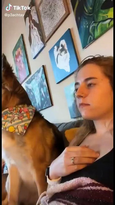 Funny TikTok Videos.