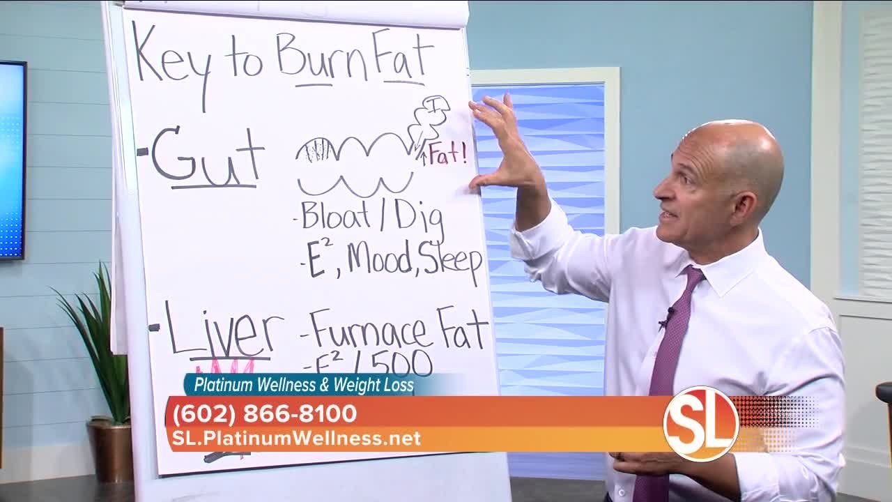 Platinum Wellness & Weight Loss: Helping you get to the root of your weight gain problems