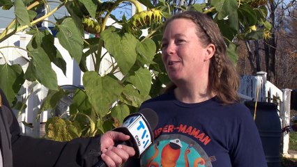 01 nov TOPO LPM femmes directions